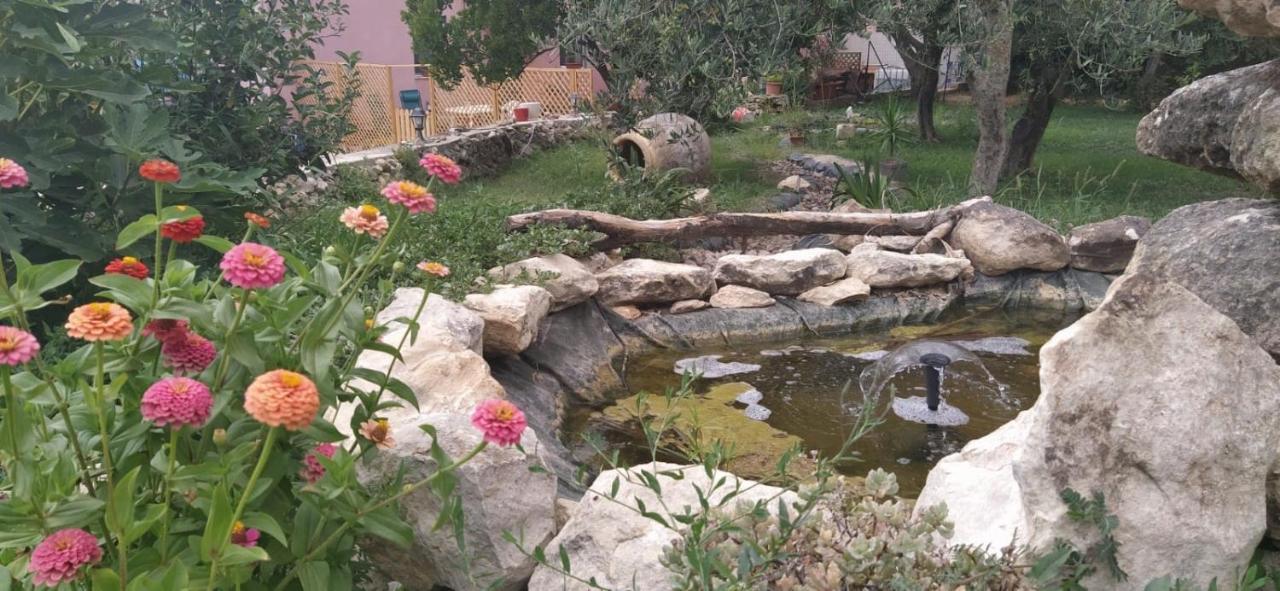 Bed and Breakfast Albero Della Musica Сассари Экстерьер фото